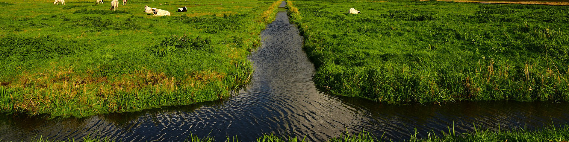 Downham & Stow Bardolph Internal Drainage Board